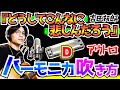 【ハーモニカ/吹き方】『どうしてこんなに悲しんだろう/吉田拓郎』アウトロ/人間なんて/ブルースハープ