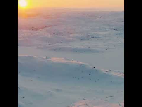 اسلام صبحي قل إن تخفوا ما في صدوركم او تبدوه يعلمه الله قراءة رائعة وخشوع رهيب