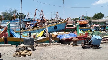 cảng cá Vàm Láng.gò công quê em.