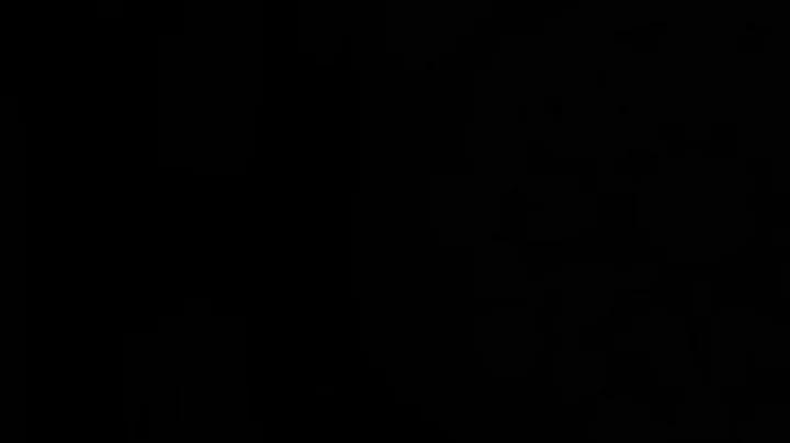 Friday Night Service, Central Synagogue - December 19, 2025