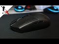 Logitech G305 Review - The wireless Logitech G102 / G203 is real!