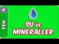 Su ve Mineraller | 4. Sınıf Fen evokul Kampı