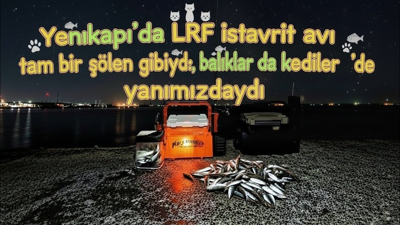 LRF Balık Avı | Görsel Şölen Niteliğinde Av !!! 1Gram'lık Jighead ile Yenikapı'yı Salladık!!! | 🐱🐟