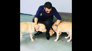 IPS Sachin Atulkar new video with Dog || Dog love || Sachin Atulkar