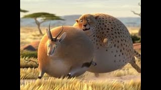 Funny Caminandes | Fat | Rollin’ Wild | Short Movies| Animation Short Movies| Cartoon Movies