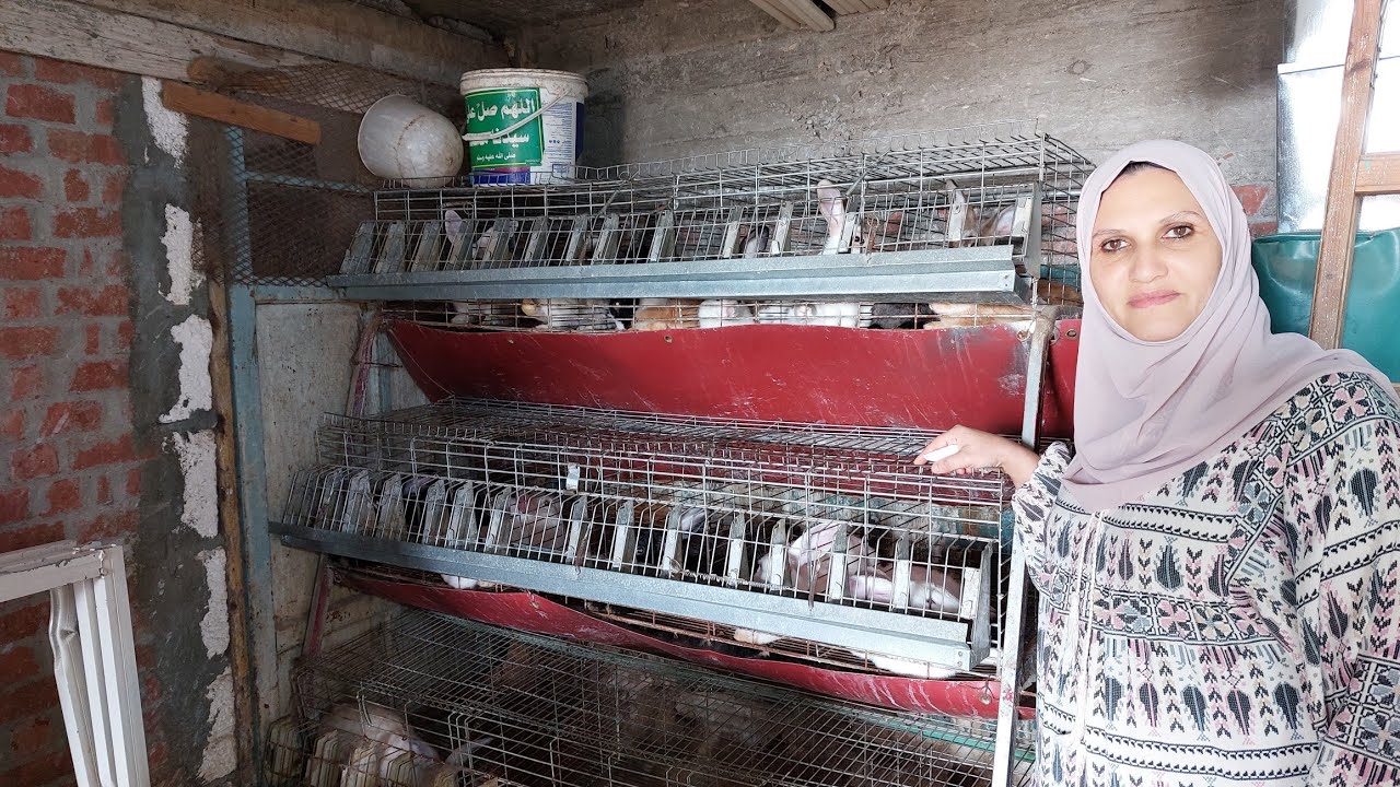 اخيرا شراء الأرانب ومغامرات بين الحيوانات فى المنزل