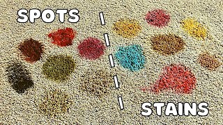 How to Remove Any Carpet Spot or Stain (in Two Steps or Less!)