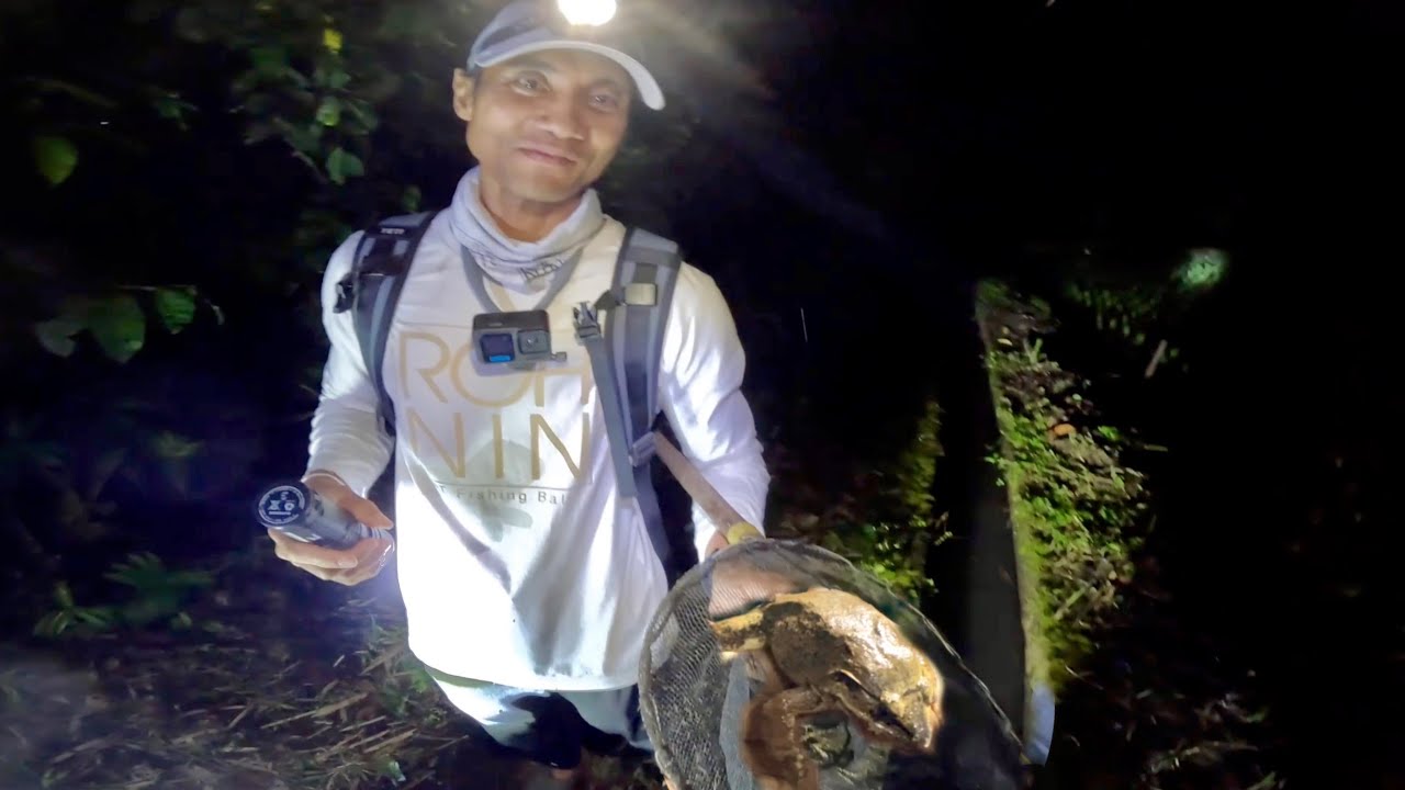 MANCING PASANG TAJUR DAN TANGKAP KATAK LEMBU UNTUK MAKAN MALAM!