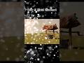 Day 6 of Learning Blender