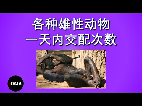 各种雄性动物一天内交配几次？How many times do different male animals mate in a day?