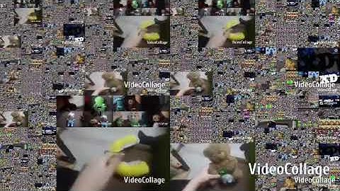 TOO MANY ANNOYING GOOSE SCREENSAVERS ADD ROUND 397/10000