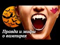 Вампиры: правда и мифы | Раскрывая мистические тайны