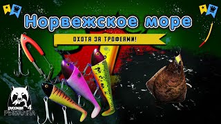 ◦ Охота за трофеями! ◦ level ◦ Русская рыбалка 4 ◦🎣👍🐬