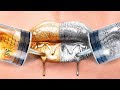 Gold vs Silver Sister/ Color Challenge!