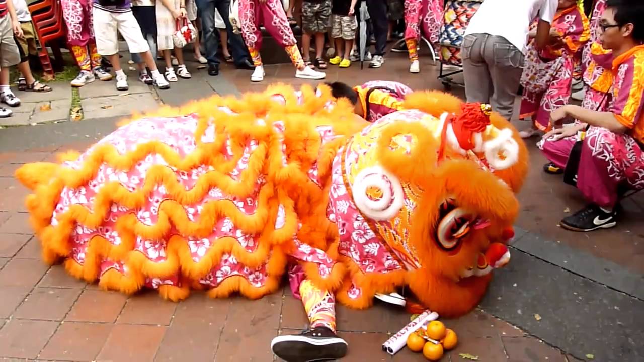 LONG CHENG LION DANCE CNY PERFORMANCE 2011 YouTube