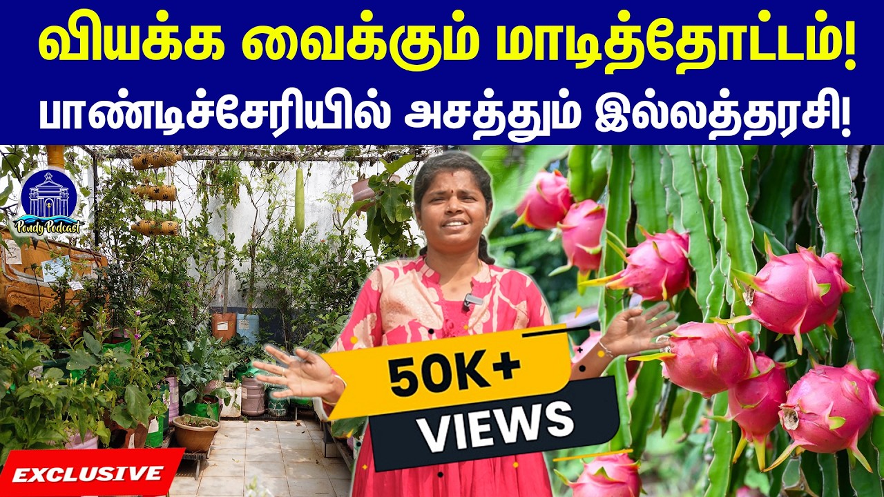பாண்டிச்சேரியில் இப்படி ஒரு பிரம்மாண்ட மாடித்தோட்டம்। #terracegarden​#pondytrendingnews​