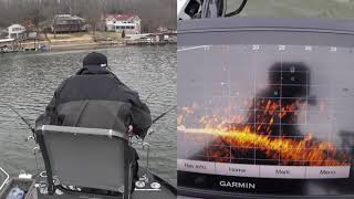 Using Garmin Live Scope While Spider Rigging For Crappie On Lake Of The Ozarks #15 (3-2-2019)