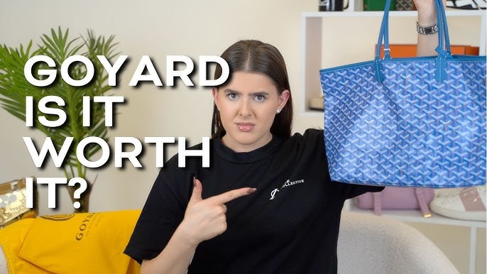 Goyard Saint Louis PM Vs. GM Review and Comparison with Pros and