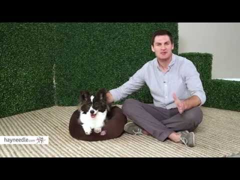 majestic-pet-bagel-dog-pet-bed---suede---product-review-video