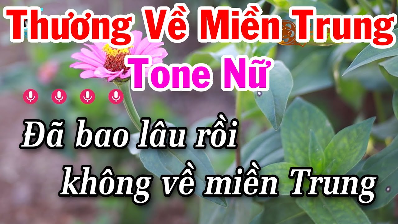 Karaoke Thương Về Miền Trung Tone Nữ Nhạc Sống Rumba Dễ Hát