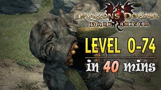 Dragon's Dogma Dark Arisen Level 0-74 in 40 minutes