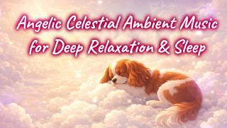 Angelic Celestial Ambient Music for Deep Relaxation & Sleep | 1 Hour of Heavenly Calm
