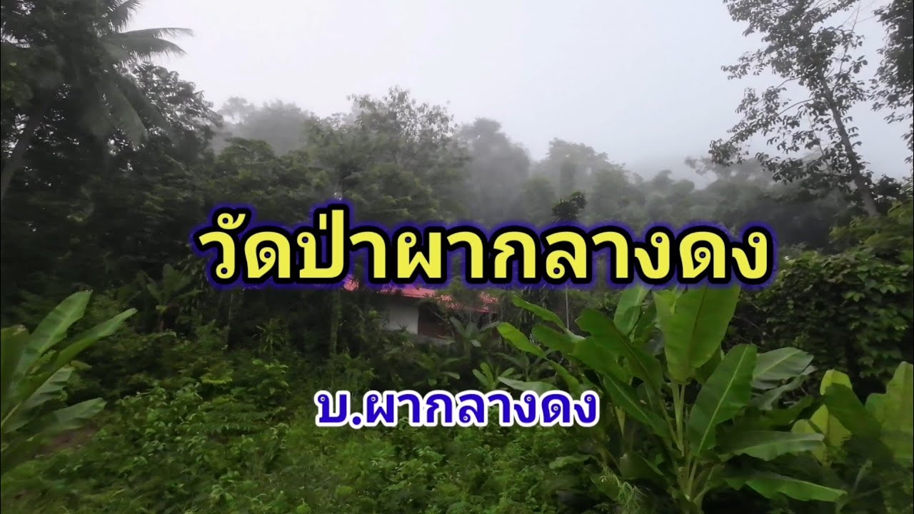 วัดป่าผากลางดง​ คริปนี้แนะนำ.. ดูให้จบเลยนะครับ.. 