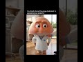 protect your bird idi*t #funny #dothingsyoudontwanttodo #helpmemakethismakesense #animation #memes