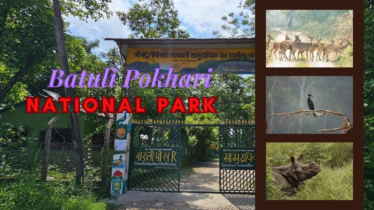 Batuli Pokhari Chitwan National Park | Chitwan vlog | Chitwan National ...
