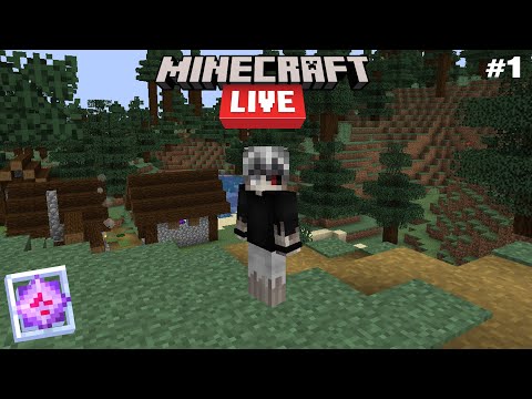 პირველი სტრიმი ჩემს SMP - ზე I Crystal SMP ქართულად