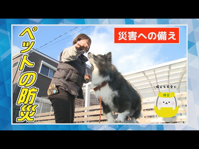 【災害への備え】ペットのための防災