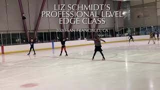 Liz Schmidt’s Professional Edge Class 2020