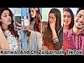Kanwal Aftab and Ch.Zulqarnain Latest TikTok Compilation Video 2020