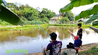 Fishing in rice fields