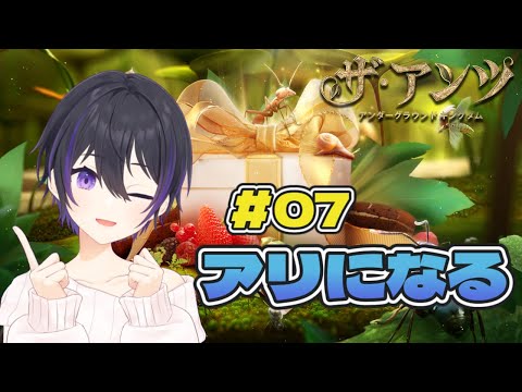 [ #PR ] 今日のアリ観察部 07 [ #ザアンツ #アリ ]