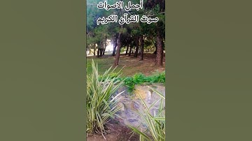 قران كريم❤️🤲🌹 بصوت جميل للشيخ ياسر الدوسري #المصحف #راحة_نفسية #اكسبلور#الرحمن 😍