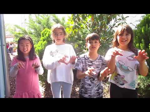 Vídeo: Signes D’una Família Com A Petit Grup