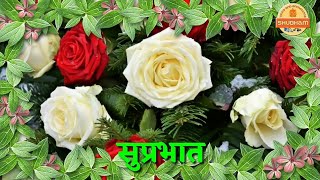 Good Morning Video Songs For Whatsapp download 2018