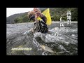 【鮎釣り】シマノ ＮＥＷアドバンフォース 仁淀川の瀬で大アユ釣り！