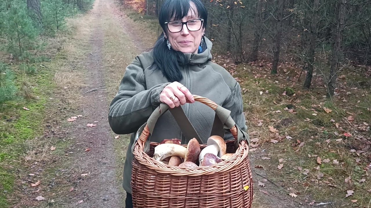 Szok!!! Piękne prawdziwki! 16 Listopada!!!