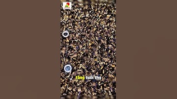 Giải Pháp Phay Xoắn Hiệu Suất Cao Với Insert Chip-Splitting Seco – Đột Phá Cùng Tân Hợp Tiến