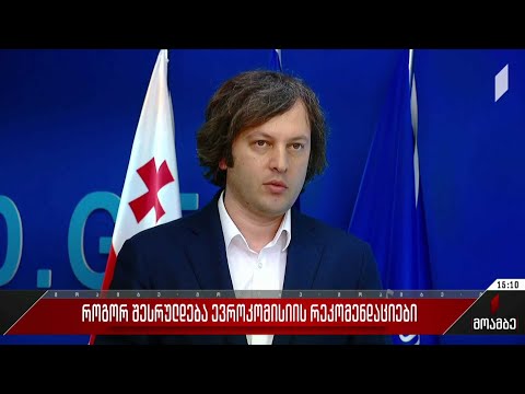 როგორ შესრულდება ევროკომისიის რეკომენდაციები