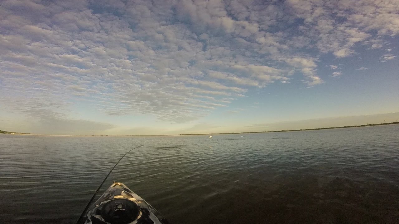 Insane Top Water White Bass Blitz