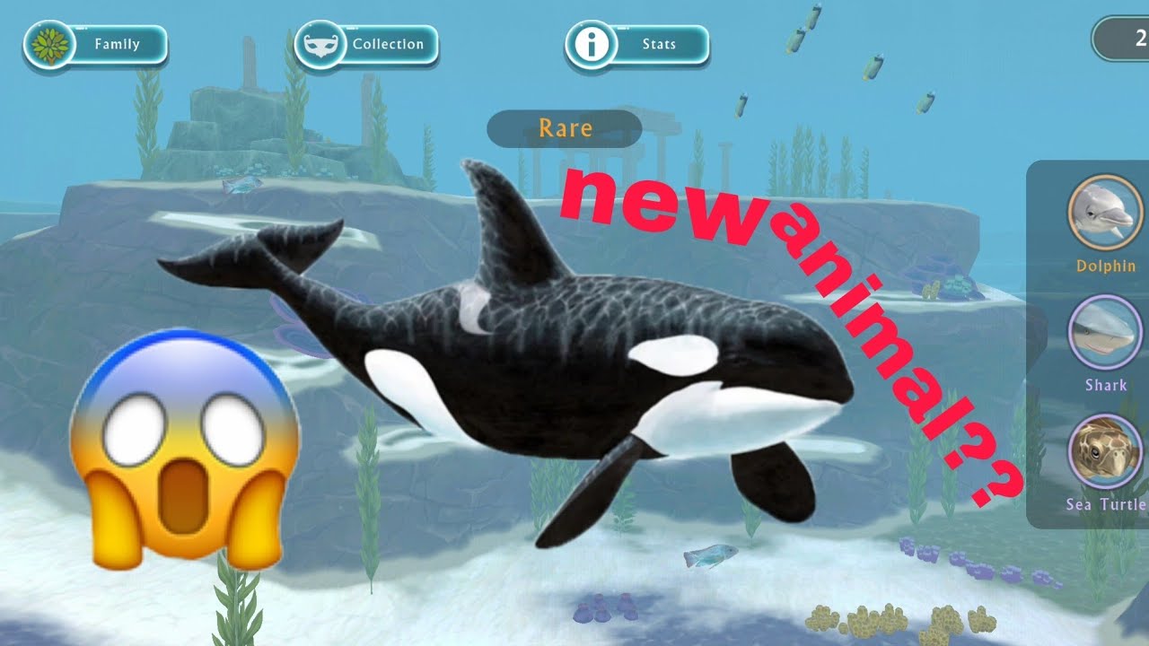 Animal Update WILDCRAFT new animal update orca idea - YouTube