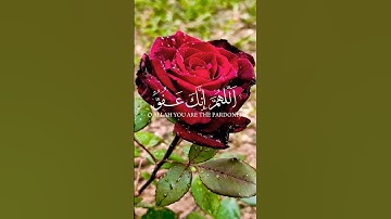 القران الكريم ♥️ دعاء ليلة القدر  ♥️♥️♥️ ♥️✨♥️✨♥️✨♥️✨♥️✨♥️✨♥️ #ramadan #quran #foryou #الدعاء