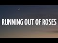 [1 HOUR LOOP] Alan Walker x Jamie Miller - Running Out of Roses (Lyrics)