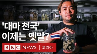 '오락용 대마초 다시 규제?'...흔들리는 태국의 '녹색 금' 대마 산업  BBC News 코리아