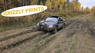 Gettin' Skinny Trail in Neoru