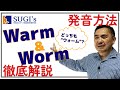 【スギーズ】warmとworm 正しく発音できていますか？【発音徹底解説】