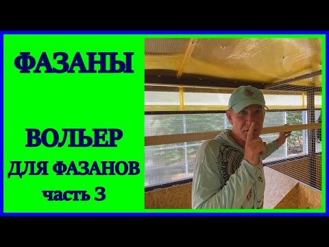 Бейне: Ит қоршауын қалай салуға болады